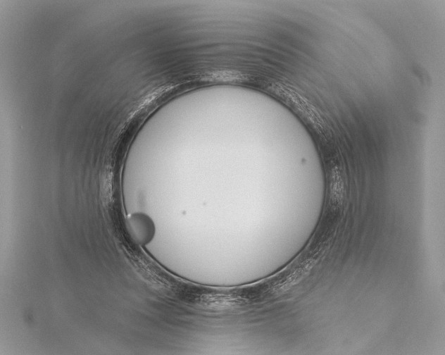 X0000115630351200912011445