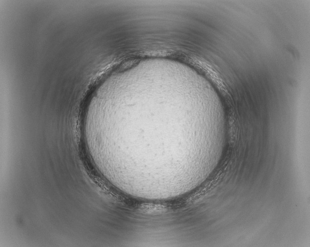 X0000115630354200912011445