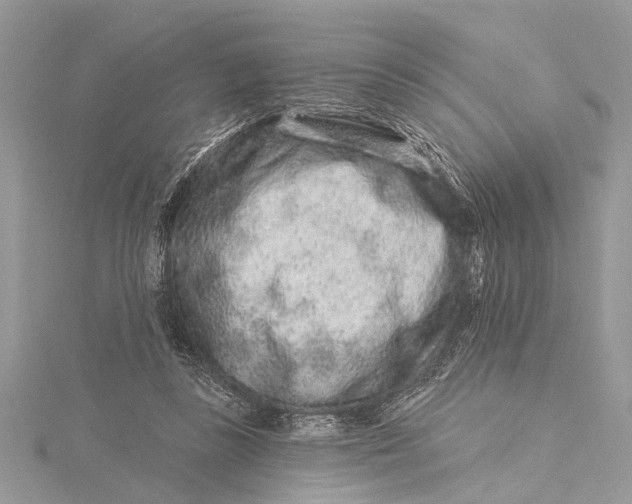 X0000115630355200912011445