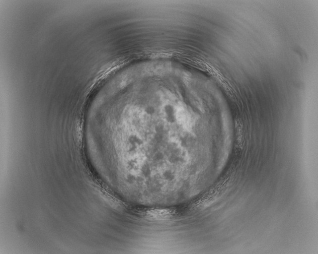 X0000115630357200912011445