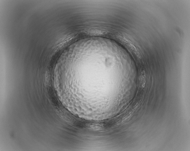 X0000115630359200912011445