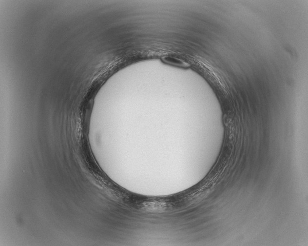 X0000115630362200912011445