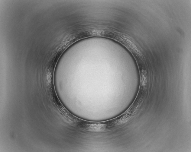 X0000115630363200912011445