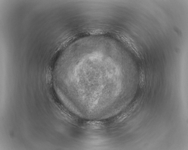 X0000115630367200912011446