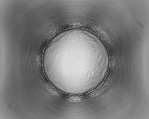 X0000115630369200912011446