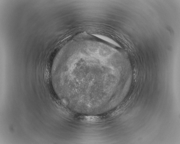 X0000115630371200912011446