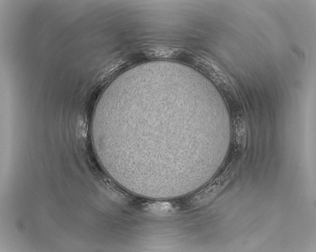 X0000115630374200912011446