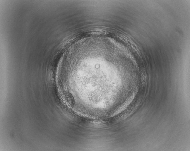 X0000115630375200912011446