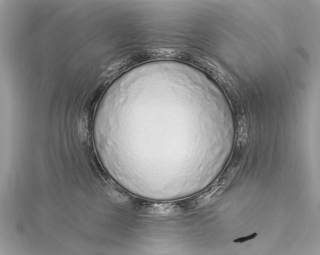 X0000115630377200912011446