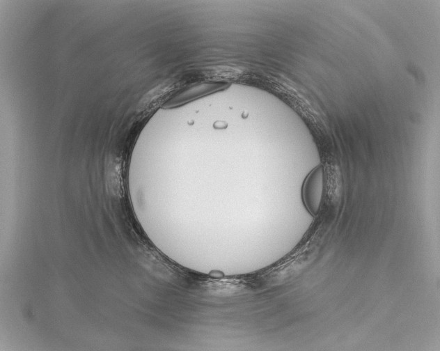 X0000115630378200912011446