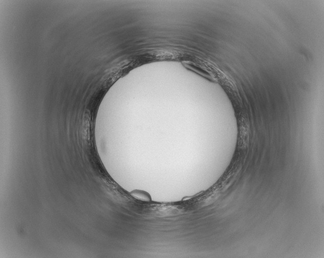 X0000115630379200912011446