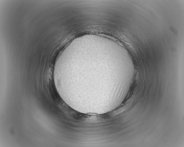 X0000115630382200912011446