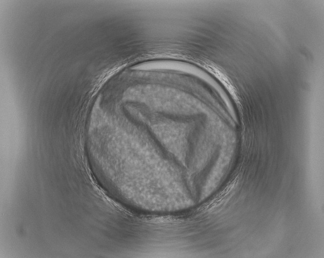 X0000115630385200912011445