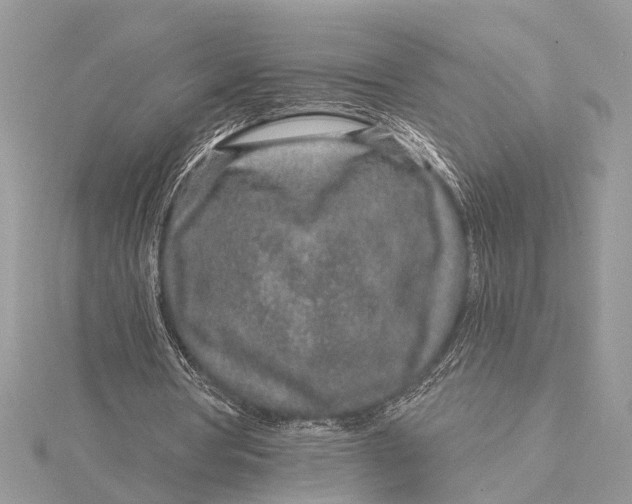 X0000115630386200912011445