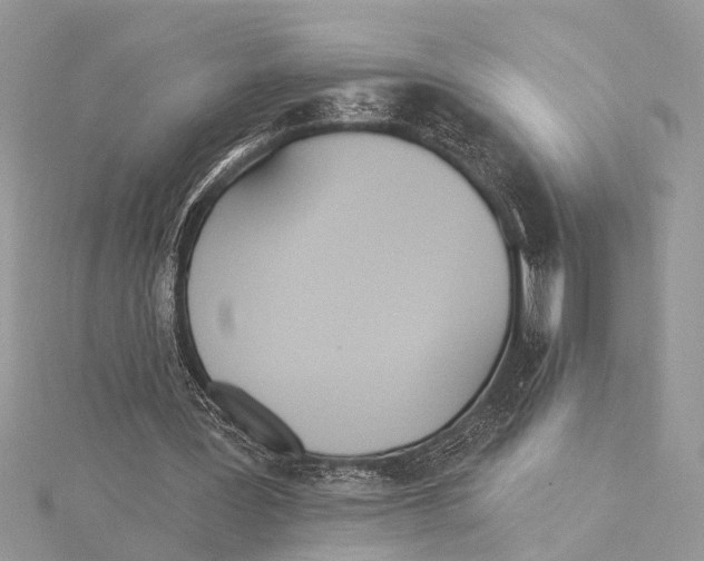 X0000115630387200912011445