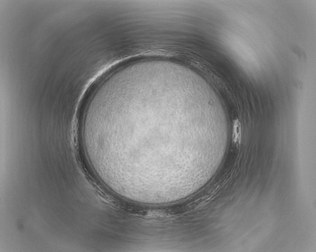 X0000115630388200912011445