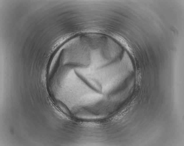 X0000115630389200912011445