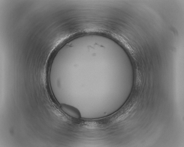 X0000115630391200912011445