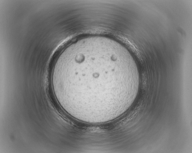 X0000115630392200912011445