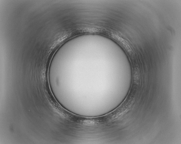 X0000115630394200912011445