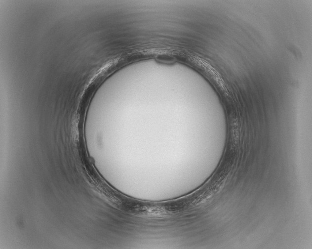 X0000115630395200912011445