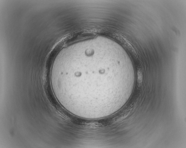 X0000115630396200912011445