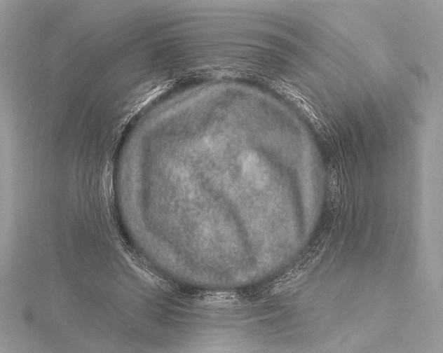 X0000115630398200912011445