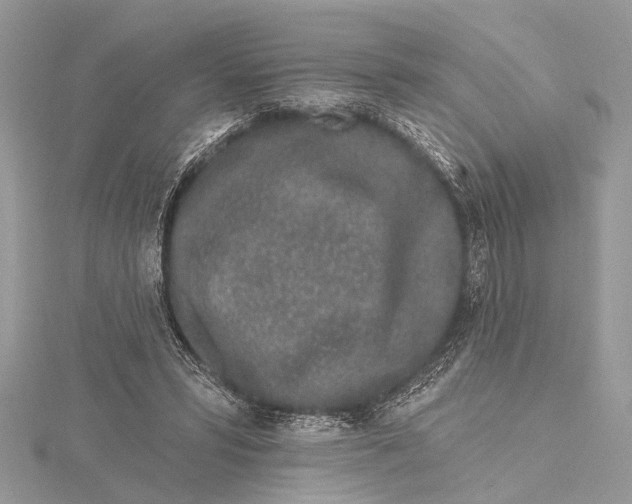 X0000115630399200912011445