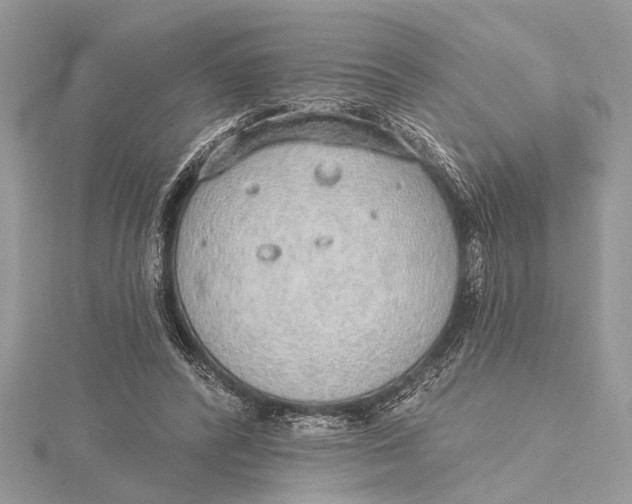 X0000115630400200912011445