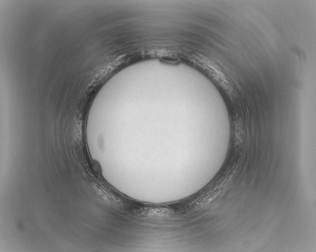 X0000115630401200912011445