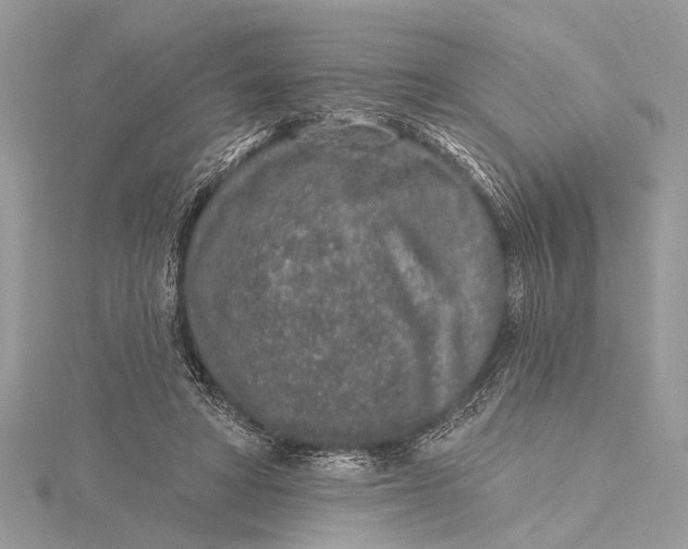 X0000115630402200912011445