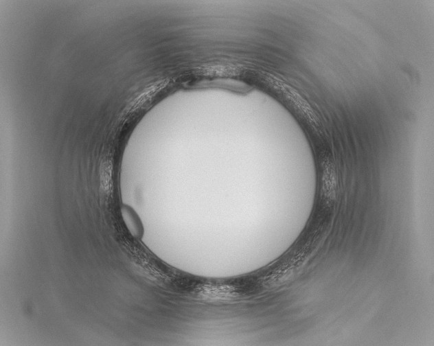 X0000115630403200912011445