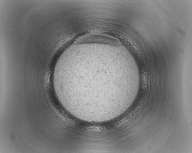 X0000115630404200912011445