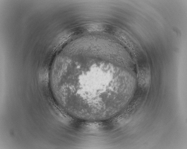 X0000115630405200912011445