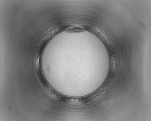 X0000115630406200912011445