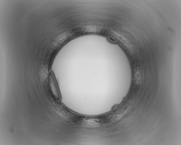 X0000115630407200912011445