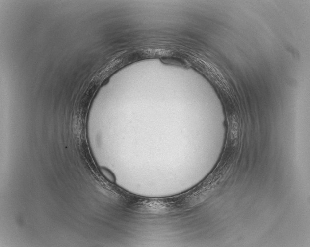 X0000115630409200912011445