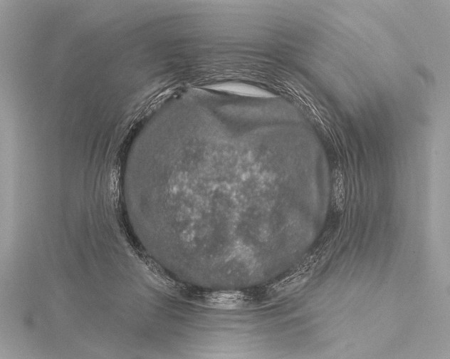 X0000115630410200912011445