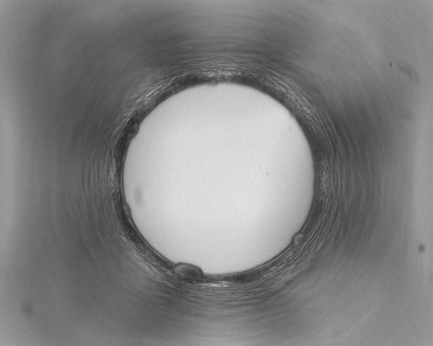 X0000115630411200912011445