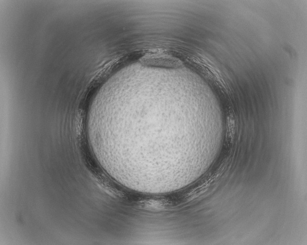 X0000115630412200912011445