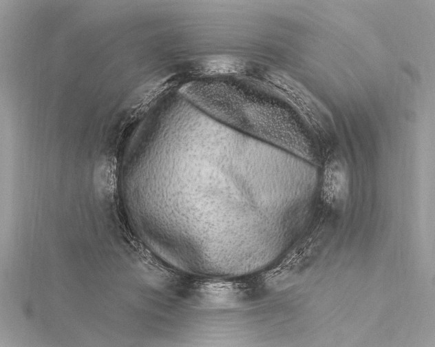 X0000115630413200912011445