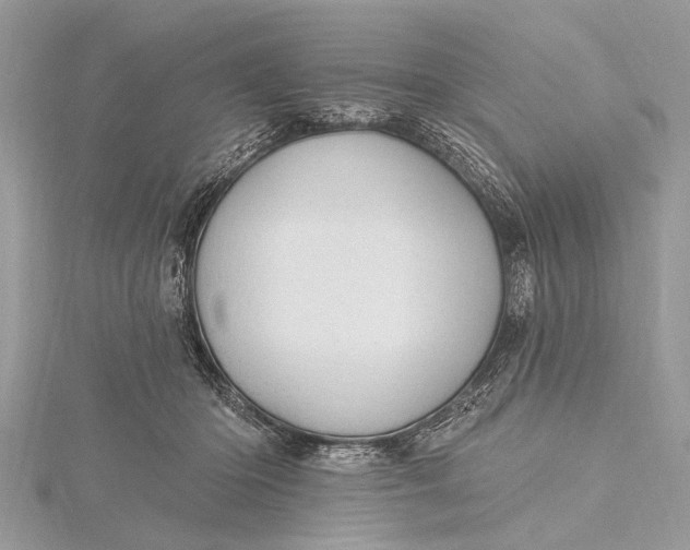 X0000115630414200912011445