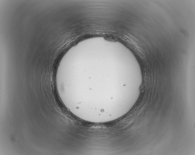 X0000115630415200912011445