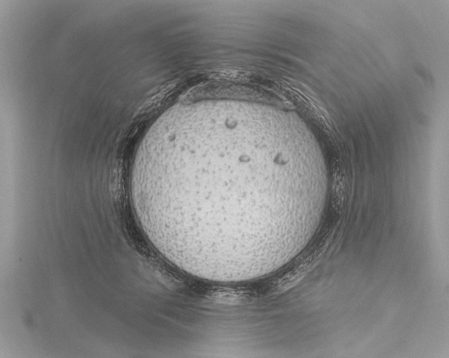 X0000115630416200912011445