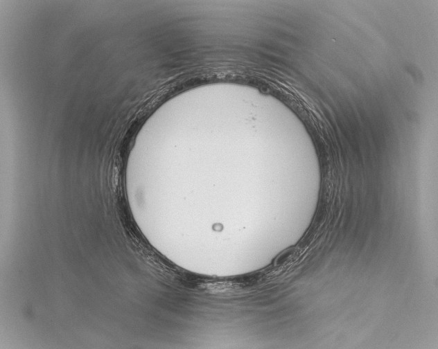 X0000115630417200912011445