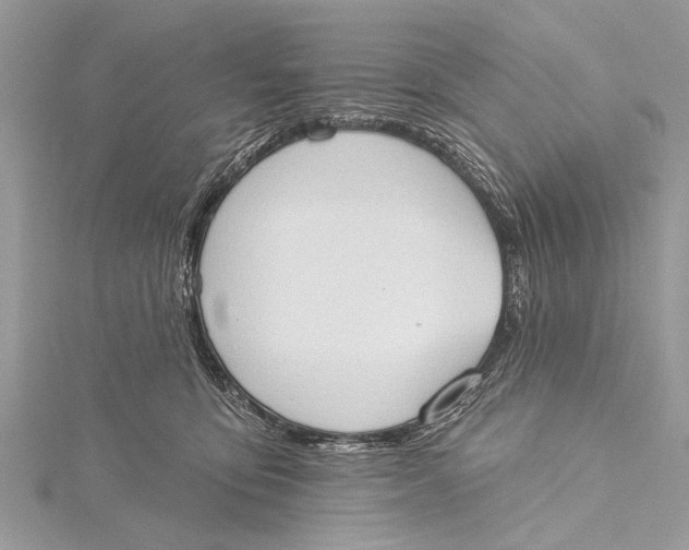 X0000115630419200912011445