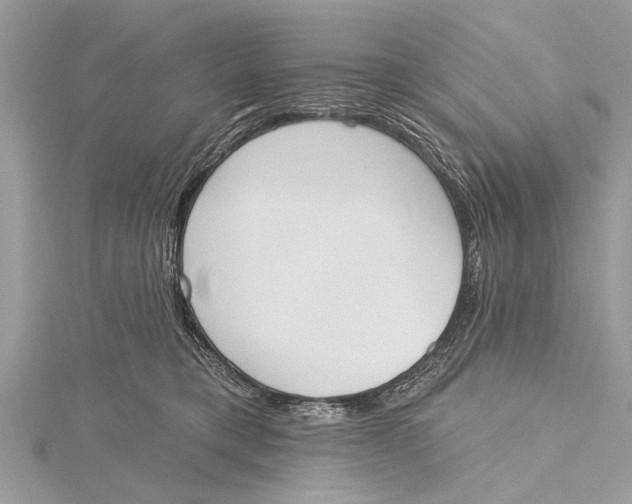 X0000115630421200912011444