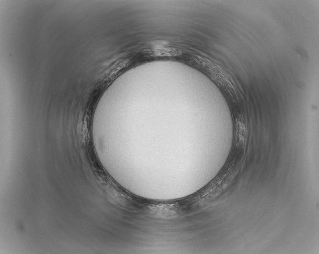 X0000115630422200912011444