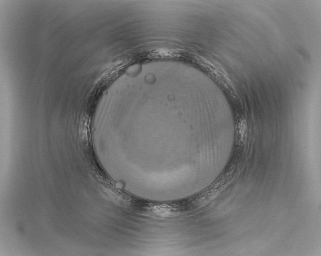 X0000115630423200912011444