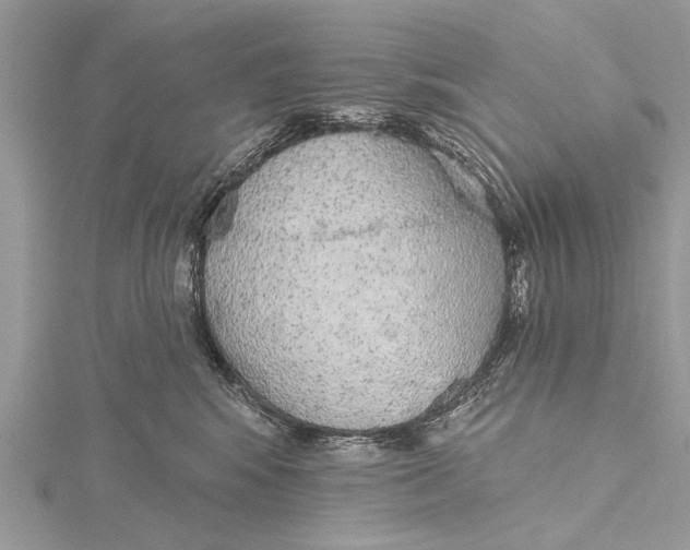 X0000115630424200912011444